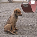 IMG_8452.jpg