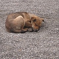 IMG_8448.jpg