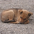 IMG_8454.jpg