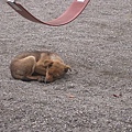 IMG_8447.jpg