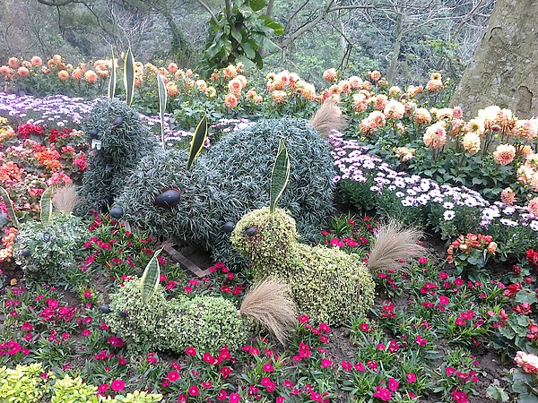 20110306220.jpg 20110306220.jpg