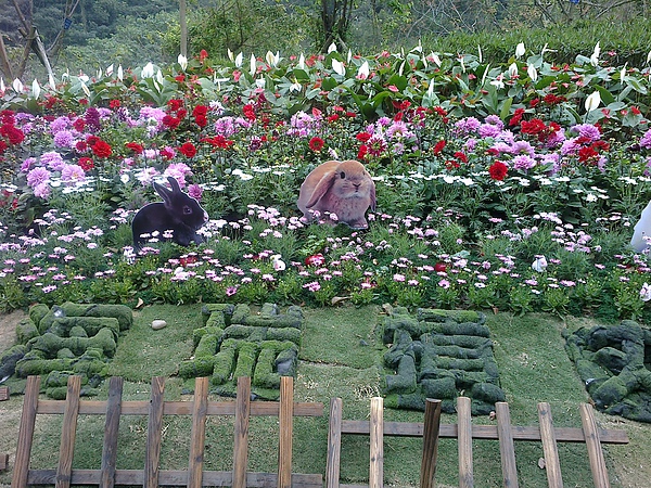 20110306222.jpg 20110306222.jpg