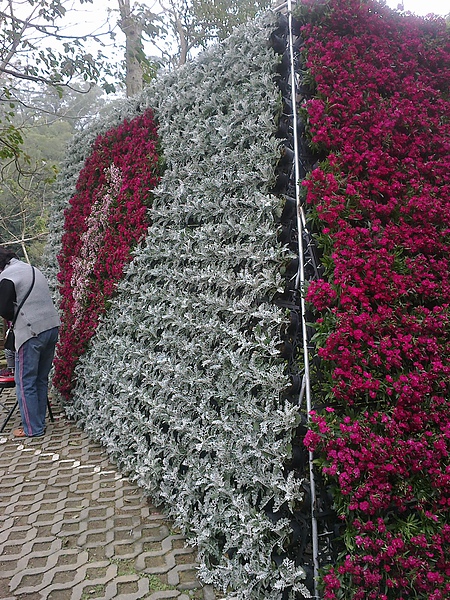 20110306211.jpg 20110306211.jpg