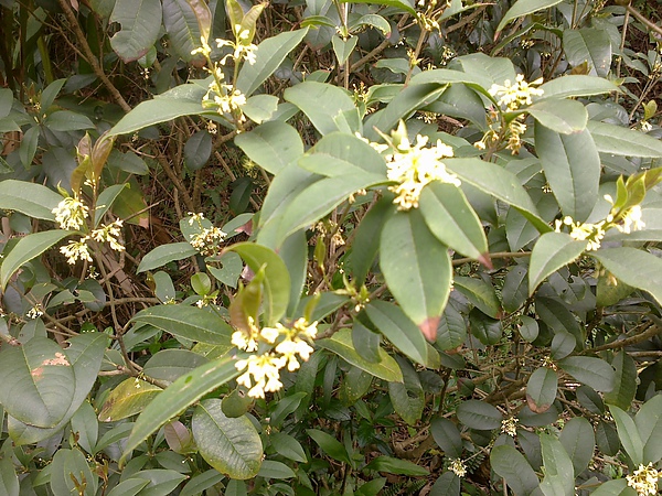 20110306214.jpg 20110306214.jpg