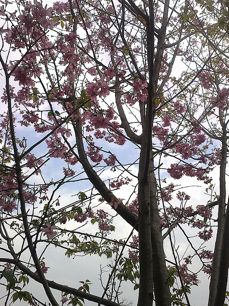 20110306243.jpg 20110306243.jpg