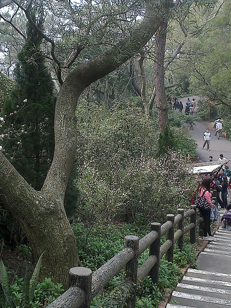 20110306257.jpg 20110306257.jpg