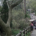 20110306257.jpg