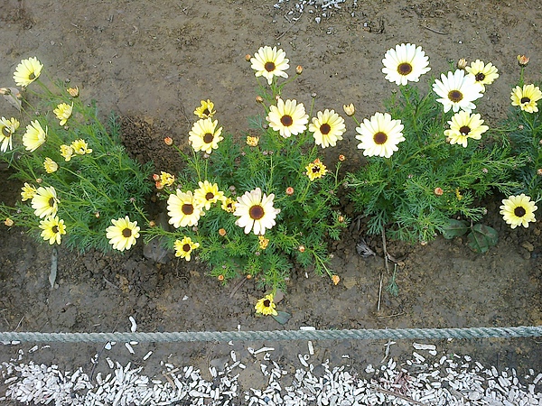 20110306231.jpg 20110306231.jpg
