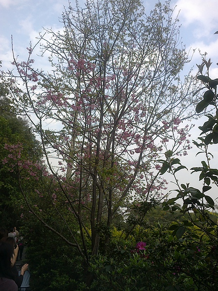 20110306278.jpg 20110306278.jpg