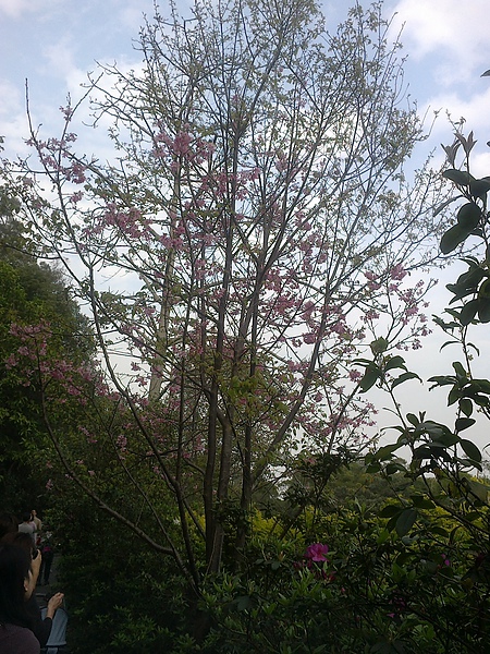 20110306278.jpg