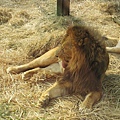 動物園 090.jpg