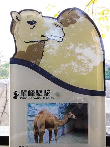 動物園 176.jpg