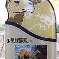 動物園 176.jpg