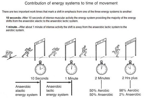 Energy Systems & Movement