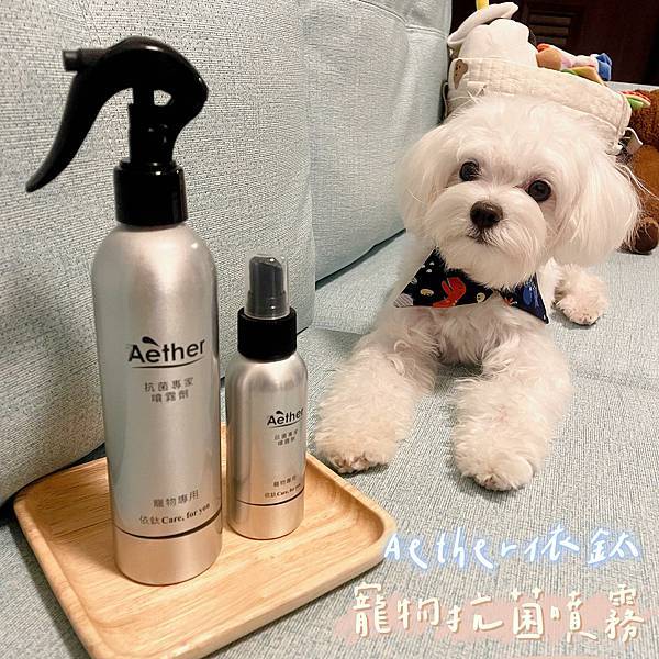 242397295_4592013427530016_8161116070215767628_n.jpg 242397295_4592013427530016_8161116070215767628_n.jpg