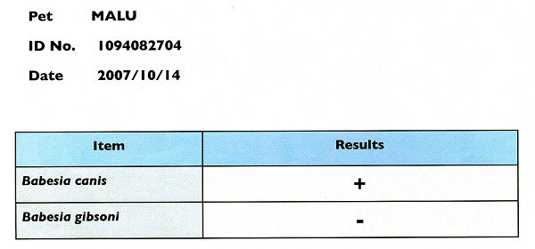 pcr.jpg