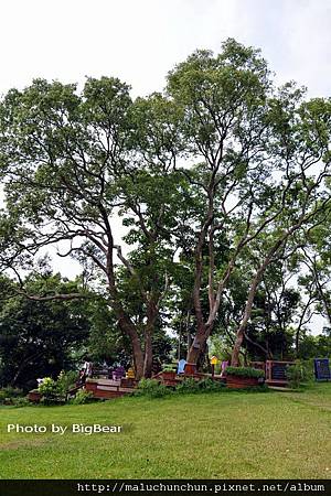 A018.jpg A018.jpg