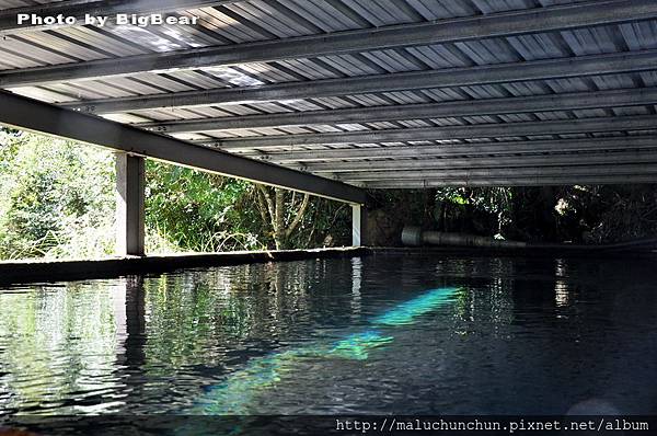 合歡溪008.jpg 合歡溪008.jpg