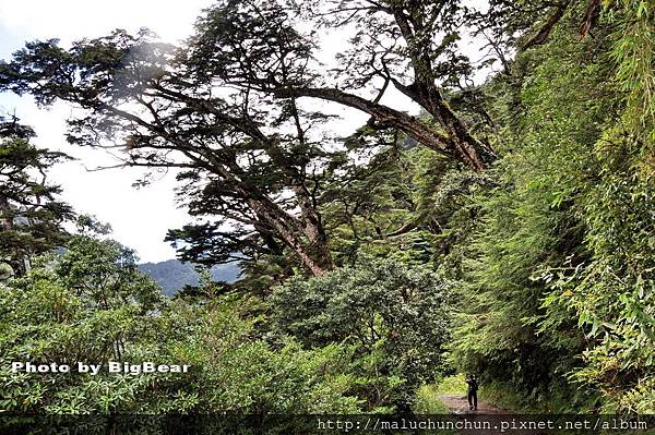 合歡溪011.jpg 合歡溪011.jpg