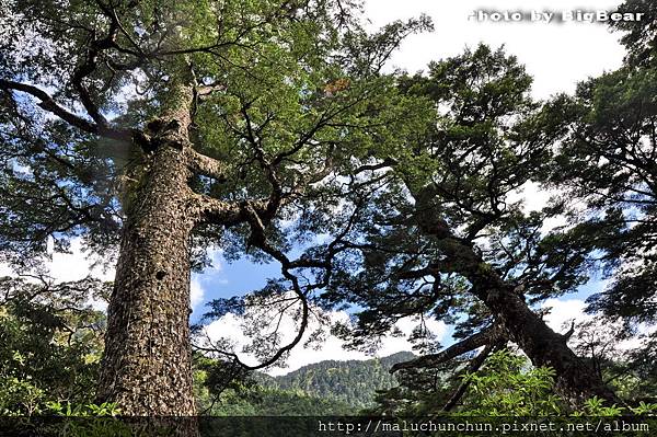 合歡溪012.jpg 合歡溪012.jpg