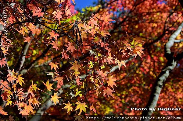 DSC_0003_調整大小.jpg DSC_0003_調整大小.jpg