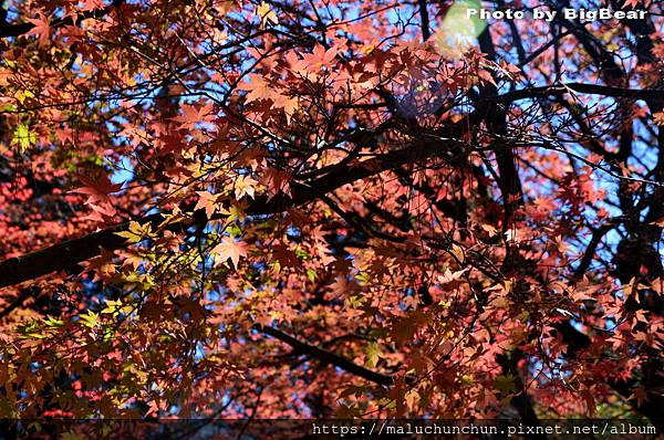 DSC_0006_調整大小.jpg DSC_0006_調整大小.jpg