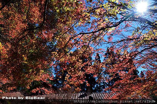 DSC_0008_調整大小.jpg DSC_0008_調整大小.jpg