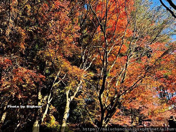 78866696_3199587833389885_4985652853864398848_n_調整大小.jpg 78866696_3199587833389885_4985652853864398848_n_調整大小.jpg