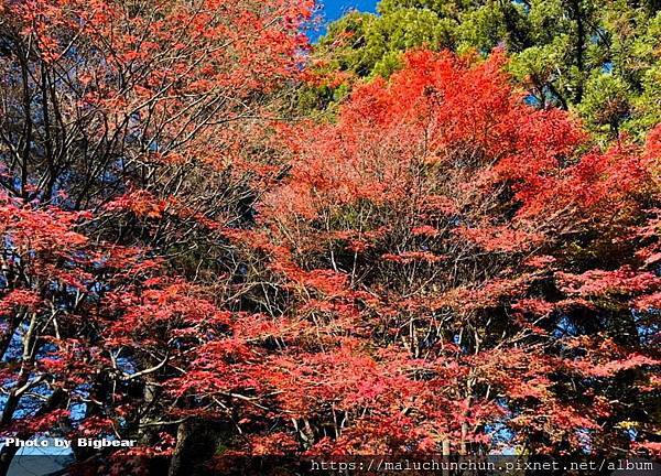 79774269_3199587953389873_3221445455929933824_n_調整大小.jpg 79774269_3199587953389873_3221445455929933824_n_調整大小.jpg