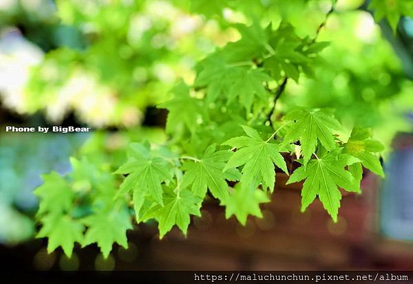 -2147483643.jpg -2147483643.jpg