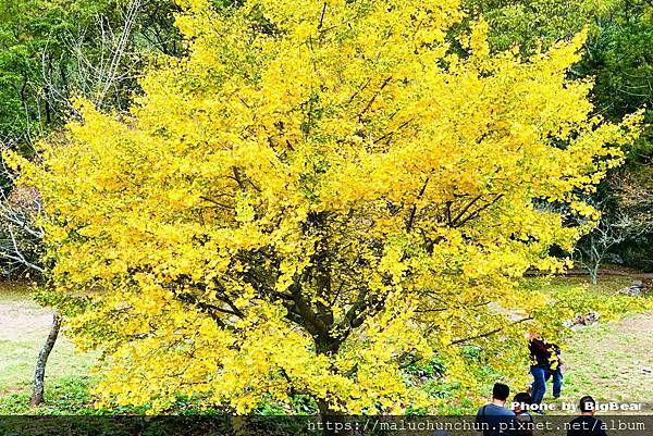 -2147483644.JPG -2147483644.JPG