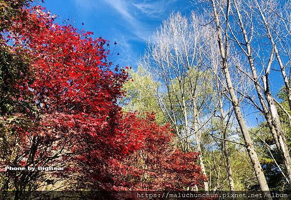 -2147483646.jpg -2147483646.jpg