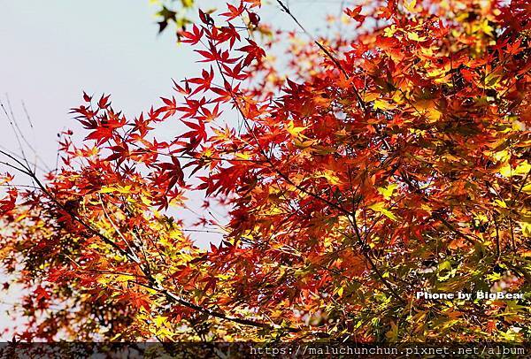 -2147483645.jpg -2147483645.jpg