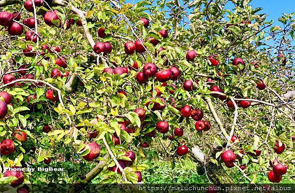 -2147483647.jpg -2147483647.jpg