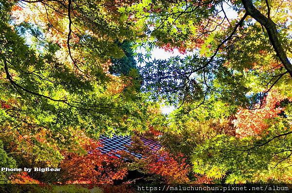 20201121005.jpg 20201121005.jpg