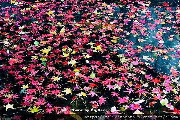 20201121001.jpg 20201121001.jpg