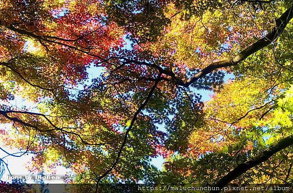 20201121007.jpg 20201121007.jpg