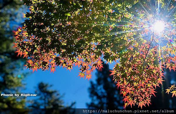 20201121010.jpg 20201121010.jpg