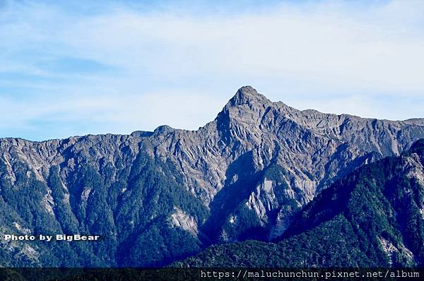 南投信義東埔山20220728國旅林怡君2.jpg