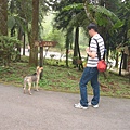阿湯哥與路邊的小狗.jpg