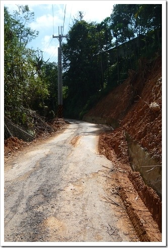 22003069:[單車生活] 歡迎巴特成為阿吉的新夥伴!讓我們爬山去~(蓮華池+顏氏牧場+魚池一日遊)