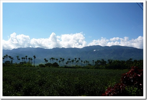 22356911:[阿吉遊台灣] 2008-07-11 環島第8日 之 池上&rarr;花蓮.........