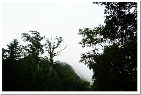 22462110:[阿吉遊台灣] 2008-07-14 環島第10日 之 宜蘭太平山&rarr;台北坪林