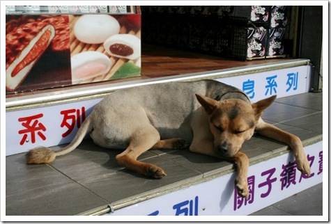 23695089:[台南白河] 崁頂山野味土雞城之竹竿雞