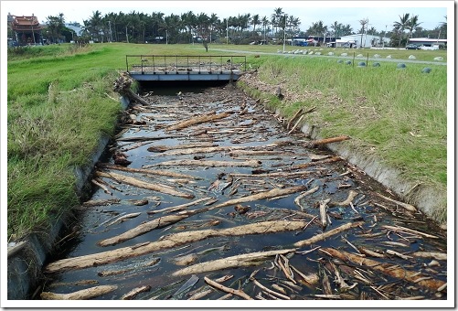 24915807:[LX3] 台東市海濱公園+琵琶湖