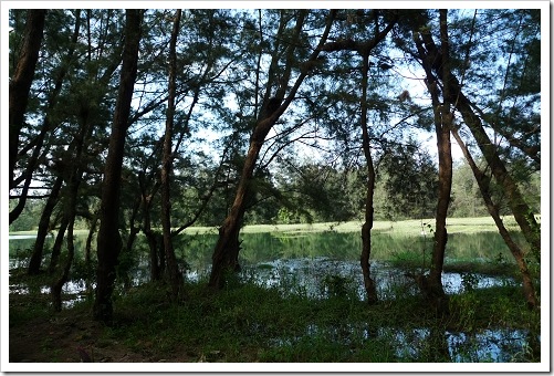 24915807:[LX3] 台東市海濱公園+琵琶湖