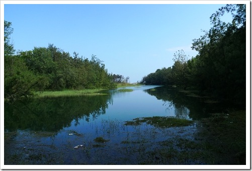 24915807:[LX3] 台東市海濱公園+琵琶湖