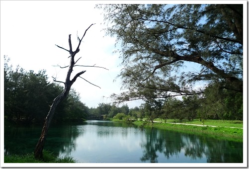 24915807:[LX3] 台東市海濱公園+琵琶湖