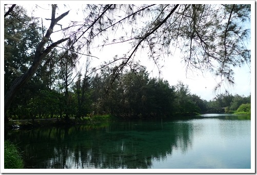 24915807:[LX3] 台東市海濱公園+琵琶湖