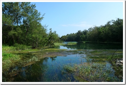 24915807:[LX3] 台東市海濱公園+琵琶湖